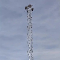 Tour d'éclairage en treillis à 4 poteaux en acier au carbone Q235B/Q355B galvanisé à chaud, 16-40m, pour projecteurs, résistance aux typhons de grade 12-13