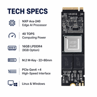 Kit de 40 cartes IA pour IA générative Stable Diffusion Llama2 TensorFlow PyTorch ONNX Edge Computing OEM Accélérateur IA M.2