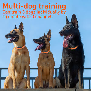 3300FT 4-Modi elektrischer Hundetrainingshalsband mit Fernbedienung wasserdichter E-Halsband Hundestoß für große mittlere Hunde - Product Image 5