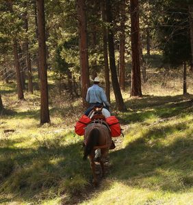 Muestra Gratuita, Bolsa de Sillín de Cuero de Alta Calidad, Bolsa de Transporte, Venta al por Mayor de Fábrica, Bolsillo para Botella de Agua, Cámara, Teléfono Celular - Product Image 6