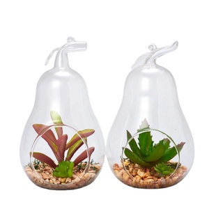 <span class=keywords><strong>Terrarium</strong></span> verre en forme de perle, <span class=keywords><strong>plante</strong></span> d'extérieur, vente en gros - Product Image 1
