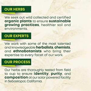 Té de Hoja de Frambuesa Orgánico al por Mayor, 16 Bolsitas, Sin Cafeína, para Cólicos Menstruales y Apoyo en el Embarazo - Product Image 6