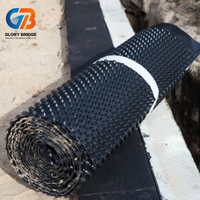 Planche de drainage anti-pression en HDPE durable pour la stabilisation des canalisations d'eau des routes municipales, des barrages et des parcs