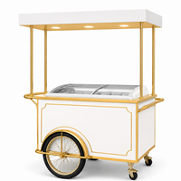 Vélo-chariot de luxe pour la vente de glaces avec congélateur de présentation, logo rétroéclairé et table latérale pliable pour la vente en extérieur et en intérieur