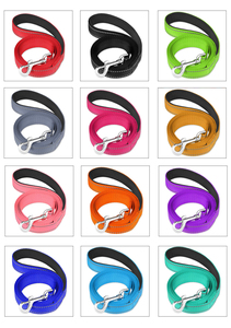 OEM guinzaglio per cani in Nylon imbottito piccolo medio grande riflettente Training piombo alla moda durevole stile semplice decorazione a nastro - Product Image 6