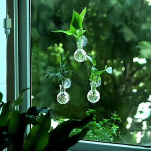 Vaso Trasparente <span class=keywords><strong>da</strong></span> Parete per Piante Idroponiche Pothos, Decorazione per Giardinaggio Domestico, Stile Pastorale - Product Image 2