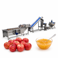 Turnkey jamproductielijn, automatische fruitjammachine met vul- en verzegelfunctie, roestvrijstalen lijn