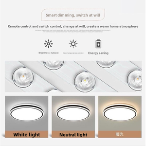 <span class=keywords><strong>Plafonnier</strong></span> <span class=keywords><strong>LED</strong></span> moderne en fer forgé pour couloir, balcon, chambre, salon et hall d'entrée - Fixation en saillie - Luminaires Zhongshan - Product Image 4