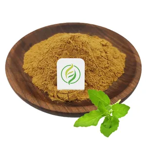 Wholesale Tulsi Powder Ocimum Tenuiflorum Extract Holy Basil Extract