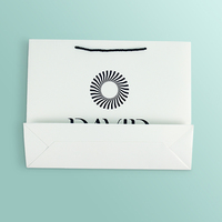Sac cadeau en papier blanc personnalisé en gros avec poignée en corde torsadée noire, impression personnalisée pour cadeaux de luxe
