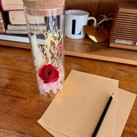 Botol Mawar Awet Surat Cinta Bunga Romantis Kenang-kenangan Pernikahan Dekorasi Pernikahan Bunga Hadiah Ulang Tahun