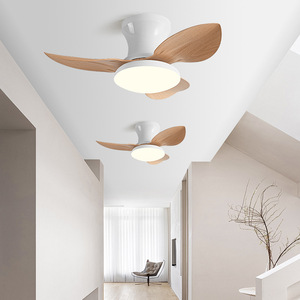 <b>Ceiling</b> Fan <b>Light</b> With Led 25 Inch Flush Mount For Hallway Bedroom Silent Inverter App <b>Control</b> - Product Image 1