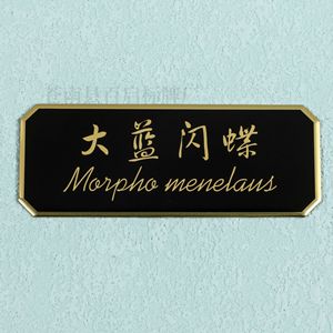 Placa de identificación de aluminio Baiqi 10x10, letrero metálico personalizado a color para puerta y muebles, etiqueta con logotipo de marca - Product Image 5