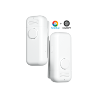 Ai Healthcare Smart avec Ai Scribe BT Device for Real Time Ai Transcription Memo Note Taking Tool Ai Voice Recorder Chatgpt