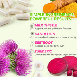 Hatmanlabs 70カプセルミルクシスルタンポポ根ハーブサプリメント肝臓クレンズデトックス修理サポート肝臓カプセル - Product Image 4