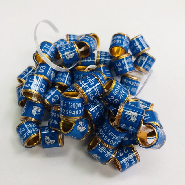 2025 Customized High Quality Taiwan DV Aluminum Plastic Racing Pigeon Ring Premium Pet Accessory