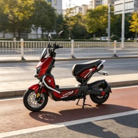 Mini vélo électrique urbain 1000W avec moteur sans balais, contrôleur 12 canaux, pneus sous vide 300/10, écran LCD, antivol et système 3 vitesses