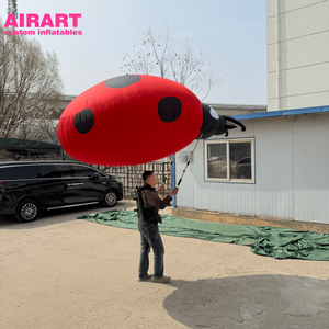 Marioneta Inflable <span class=keywords><strong>de</strong></span> Mariquita para Fiestas, Peluche <span class=keywords><strong>de</strong></span> Mariquita para Exhibición al Aire Libre - Product Image 6