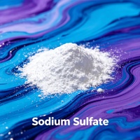 Offre Spéciale Prix Usine Sulfate de Sodium Anhydre Na2SO4 Produit Chimique pour l'Industrie du Verre en Chine