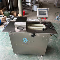 Machine à saucisses automatique en acier inoxydable 500 kg/h, machine à saucisses électrique commerciale sous vide, machine à remplir les saucisses