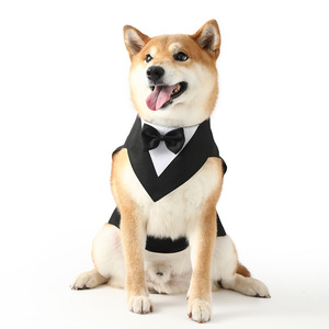 PALL Ensemble de bavoirs pour chien en polyester à motif écossais, pour l'été, design sportif et mignon, protection, Halloween, 8 couleurs au choix, haute qualité - Product Image 5