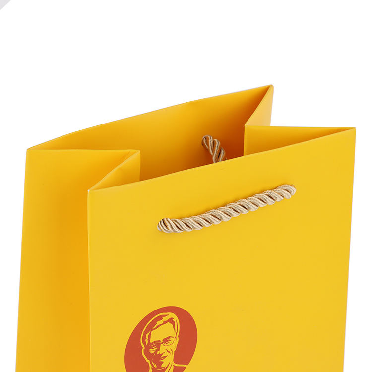 professional custom print logo food packaging shopping carrier bag with twisted handle