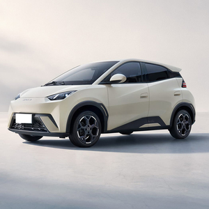 Fabriek Directe Verkoop Byd Zeemeeuw <span class=keywords><strong>Mini</strong></span> Ev Auto Intelligente Rij-Editie Vitaliteit Editie 4-zitplaatsen Met Groothandelsprijs - Product Image 3