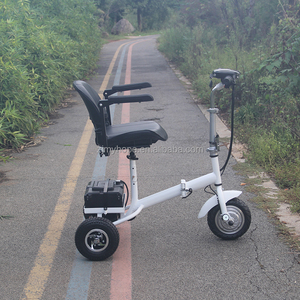 Scooter Eléctrico <span class=keywords><strong>de</strong></span> Tres Ruedas Plegable Fácil <span class=keywords><strong>de</strong></span> Usar con Certificación CE Rohs, Batería Extraíble <span class=keywords><strong>de</strong></span> 500w, 3 Velocidades, YXEB-718 - Product Image 5