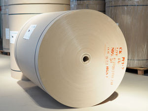Cartón Corrugado (CB) Ply Bond 300 J/M2, Papel Especial Marrón en Rollo Jumbo, Grado de Exportación, para Embalaje de Conos, Tubos y Cartones - Product Image 5