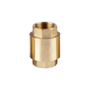 Válvula de Retención Vertical Manual de Acero Inoxidable DN80 de 3'' con Conector de Latón para Agua, Filtro y Pistón de Bola con Resorte Unidireccional - Product Image 2
