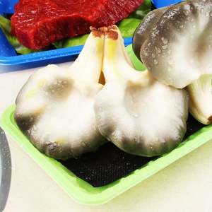 แผ่นดูดซับความชื้นสำหรับถาดอาหารแบบมีรูพรุน - Product Image 1