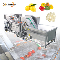 Groentewasmachine voor 800-1500 kg/uur, geschikt voor knoflook, citroen, chili, aardappel, fruit en groenten na de oogst.