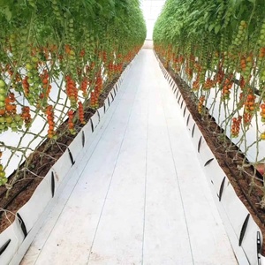 Tapete de malezas de PP agrícola bien diseñado, suministros de jardín, rollo de tela tejida para cubrir el suelo con servicio de corte personalizado - Product Image 1