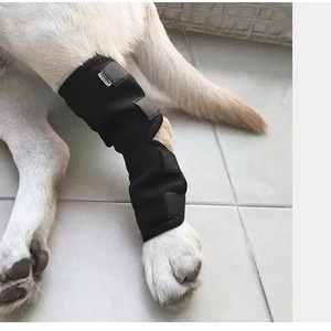 Dispositivo DE ASISTENCIA clásico <span class=keywords><strong>para</strong></span> <span class=keywords><strong>perros</strong></span> con cubierta protectora <span class=keywords><strong>para</strong></span> lesiones en la pierna delantera Correa antilamer y <span class=keywords><strong>rodilleras</strong></span> <span class=keywords><strong>para</strong></span> asistencia quirúrgica - Product Image 4