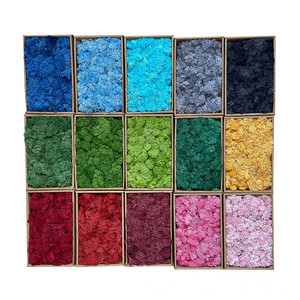 Panneau de mousse naturelle verte carrée en gros, carrelage décoratif pour bureau, lichen stabilisé et préservé, pour mur du 1er avril, 30x30cm - Product Image 2