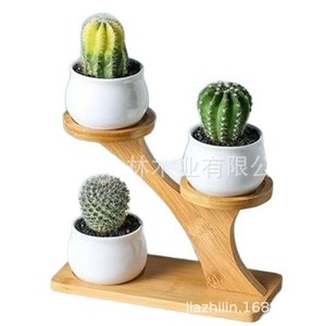 Modern Minimalist Wooden <b>Desktop</b> <b>Shelf</b> Multi Tiered Plant Display Rack Solid Wood Succulent Holder 20cm Length - Product Image 1