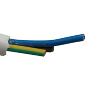 Cordon d'alimentation de rallonge 16A 250V IP44 H05VV-F 3G1.5mm² avec prise femelle Schuko vers fil nu