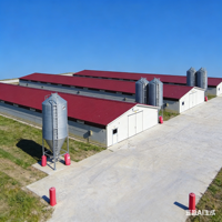 Poulailler préfabriqué économique en structure acier moderne pour l'élevage avicole à grande échelle avec personnalisation