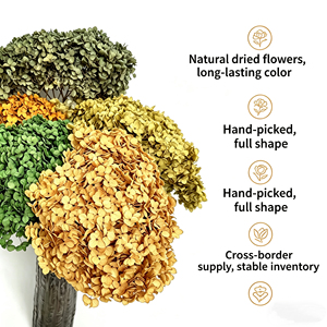 Vente directe d'usine, hortensias conservés avec branches, <span class=keywords><strong>fleurs</strong></span> décoratives pour la Saint-Valentin, la <span class=keywords><strong>fête</strong></span> <span class=keywords><strong>des</strong></span> <span class=keywords><strong>mères</strong></span>, la remise <span class=keywords><strong>des</strong></span> diplômes, 40 couleurs - Product Image 3