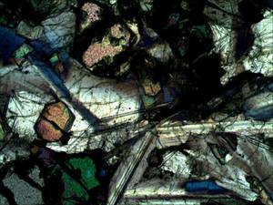 BestScope BS-5062B(LED) Système <span class=keywords><strong>optique</strong></span> infini WF10X/22mm <span class=keywords><strong>Microscope</strong></span> binoculaire polarisant à <span class=keywords><strong>lumière</strong></span> <span class=keywords><strong>transmise</strong></span> pour l'université - Product Image 6