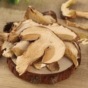 Porcini Cep Boletus - Product Image 3