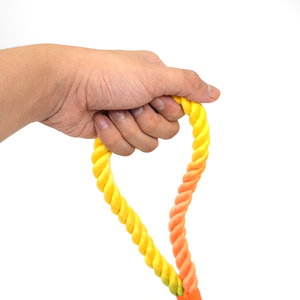 Conjunto de collar y correa de cuero Premium Equipo degradado tejido colorido para razas medianas a pequeñas para exteriores - Product Image 4