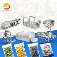 ORME Mango Clean Machine Geautomatiseerde productielijn voor het wassen, snijden en sorteren van diepvriesfruit en -groenten