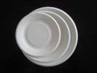 Assiette jetable biodégradable en bagasse de 6 pouces, écologique, ondulée, ronde, imperméable, de qualité alimentaire, avec couvercle, pour les fêtes