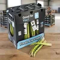 Boîte en plastique ondulé PP écologique, recyclable et réutilisable pour l'emballage de légumes, fruits, noix, collations, maïs, raisins, asperges