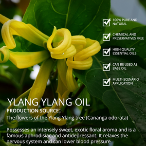 Manufacturer Bulk Supply 100% Pure Ylang Ylang <b>Essential</b> <b>Oil</b> Best Price Aroma Source for Skin Care <b>Diffuser</b> Mosquito Repellant - Product Image 2