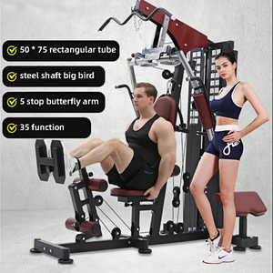 Pinjian Uitgebreide Trainer Krachttraining Fitnessapparatuur Multifunctionele Indoor Fitnessapparatuur Single Station Trainer - Product Image 2