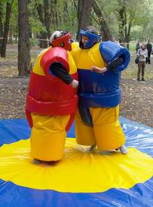 <span class=keywords><strong>Costume</strong></span> de <span class=keywords><strong>lutteur</strong></span> de <span class=keywords><strong>sumo</strong></span> jeune de haute qualité pvc costumes de <span class=keywords><strong>sumo</strong></span> bon marché à vendre ensemble de lutte pour adultes <span class=keywords><strong>costume</strong></span> de <span class=keywords><strong>lutteur</strong></span> de <span class=keywords><strong>sumo</strong></span> drôle - Product Image 6