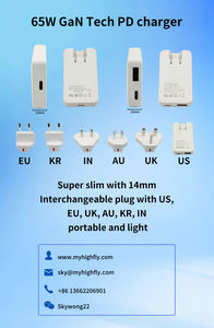 Adaptador de tarjeta SIM doble de 65W certificado RoHS 50HZ/60HZ frecuencia 100G <span class=keywords><strong>peso</strong></span> para portátil OTP 100-240V voltaje de entrada <span class=keywords><strong>3</strong></span> años de garantía - Product Image 2