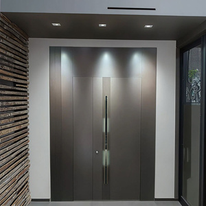 Porte battante d'entrée commerciale en acier inoxydable de style français simple avec fonction d'étanchéité pour cour et usage extérieur - Product Image 6